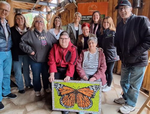 The monarch butterfly in the spotlight: a meaningful exhibition