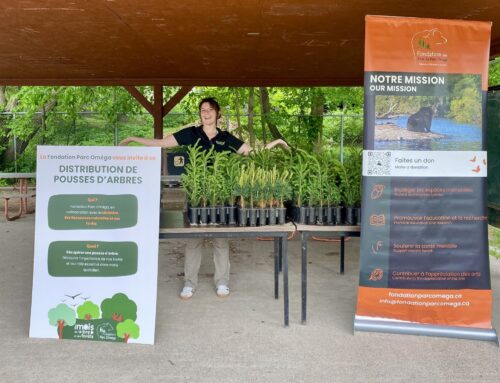 300 ARBRES REMIS EN 2 JOURS : UN BEAU PROJET MENÉ PAR LA FONDATION DU PARC OMÉGA
